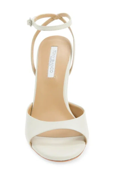 Tony Bianco Violet Ankle Strap Sandal In Multi