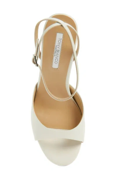 Tony Bianco Violet Ankle Strap Sandal In Multi