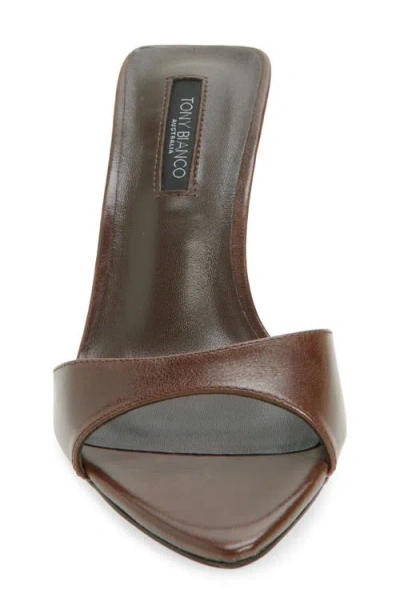 Tony Bianco Hallie Heeled Mules Choc Vintage In Brown