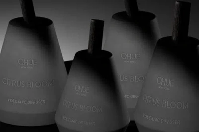 Qhue Citrus Bloom Diffuser In Gray