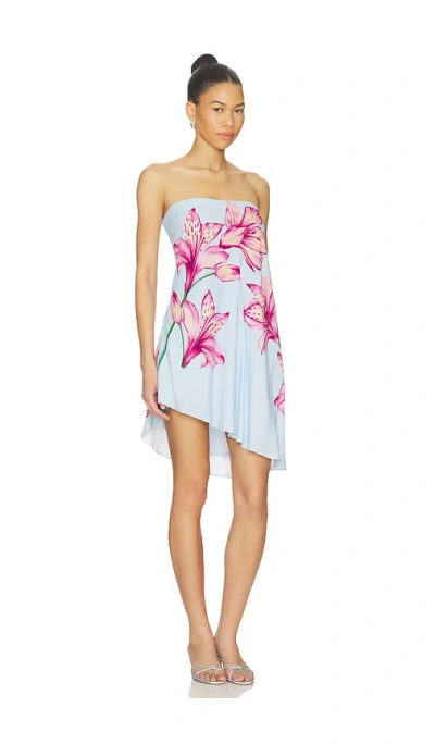 Rococo Sand Mini Dress In Multi