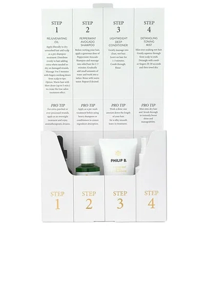 Philip B 4 Step Discovery Kit In Multi