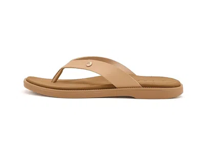 Reef Sunny Farrah In Brown