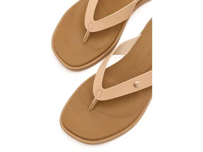 Reef Sunny Farrah In Brown