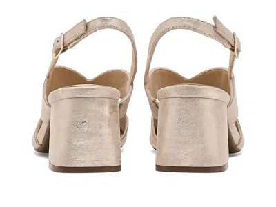 Vaneli Daffy In Neutral