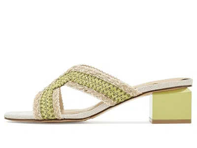Vaneli Cyndia In Multi
