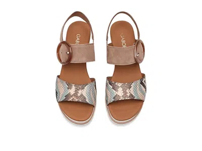 Gabor 84.645 In Multi