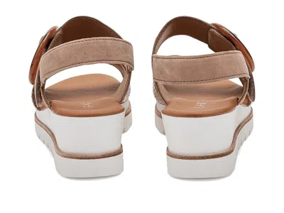 Gabor 84.645 In Multi