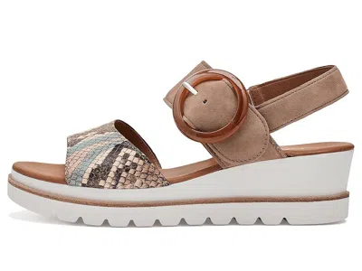 Gabor 84.645 In Multi