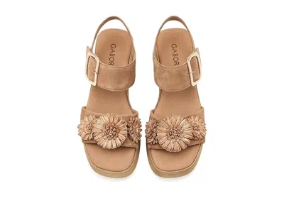 Gabor 84.525 In Brown