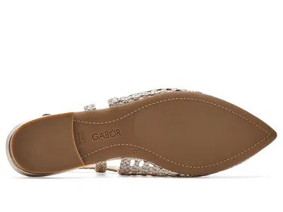 Gabor 81.631 In Gray