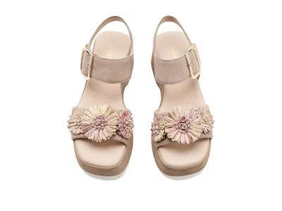 Gabor 84.525 In Brown