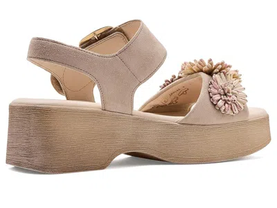 Gabor 84.525 In Brown