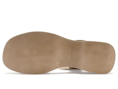 Gabor 84.525 In Brown