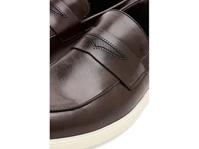 Steve Madden Millo In Brown