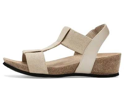 Munro Georgette In Multi