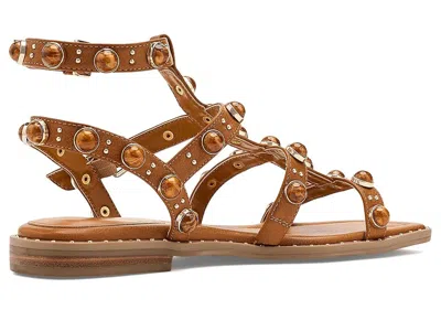 Kenneth Cole New York Ruby Stones In Brown