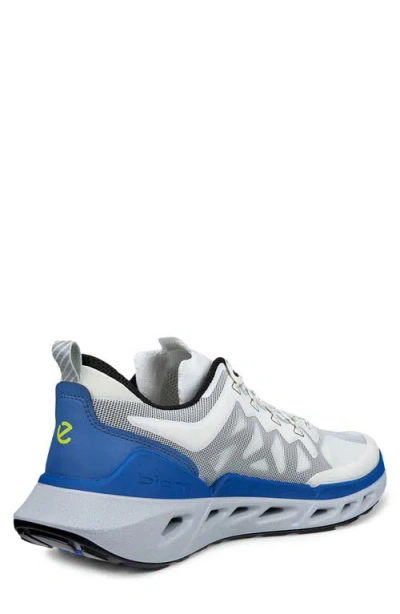 Ecco Biom 720 Sneaker In Multi
