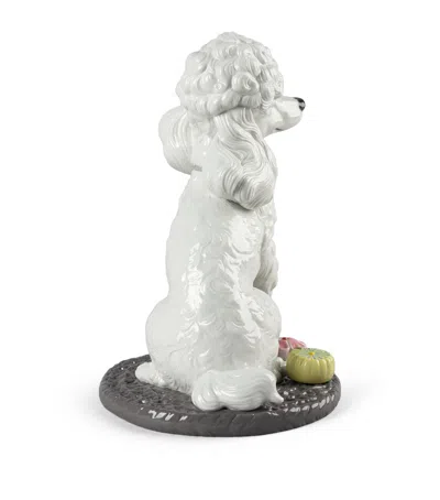 Lladrò Poodle With Mochis Figurine In White