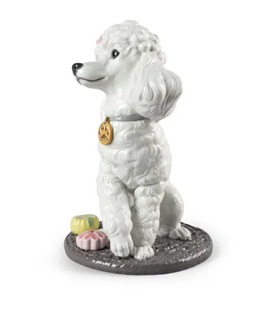 Lladrò Poodle With Mochis Figurine In White