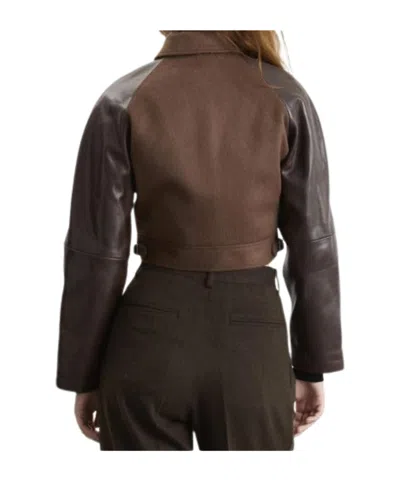Auralee Pointed-colar Jacket In Brown