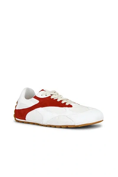 Bottega Veneta Orbit Flash Sneaker In Multi
