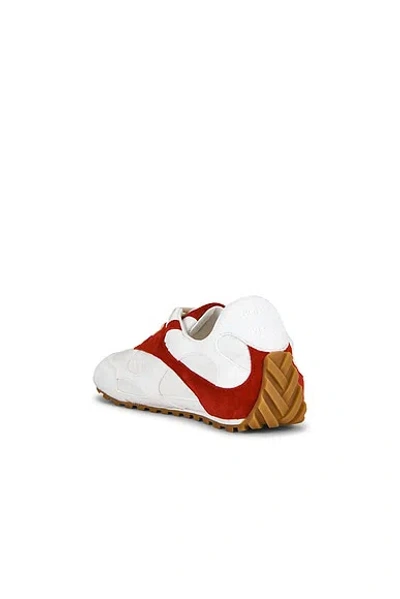 Bottega Veneta Orbit Flash Sneaker In Multi