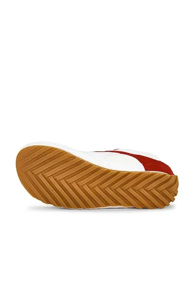Bottega Veneta Orbit Flash Sneaker In Multi