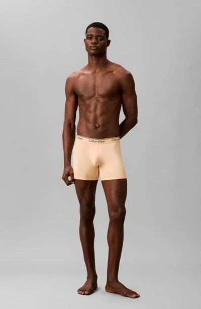 Calvin Klein Assorted 3-pack Microfiber Boxer Briefs In Neutral