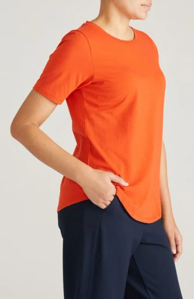 Universal Standard Tee Rex Tee In Multi