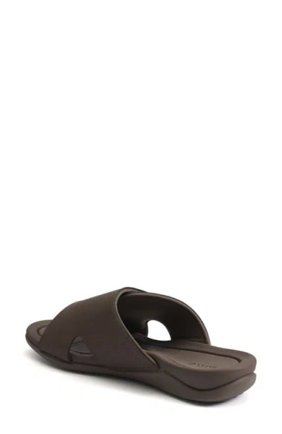 Strive Dune Waterproof Sandal In Brown