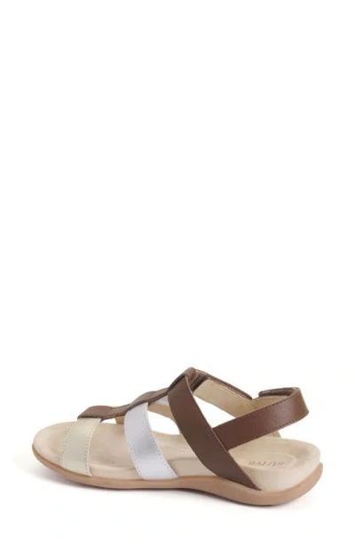 Strive Cassis Cage Sandal In Brown