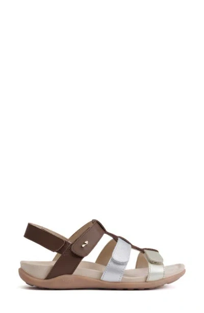Strive Cassis Cage Sandal In Brown