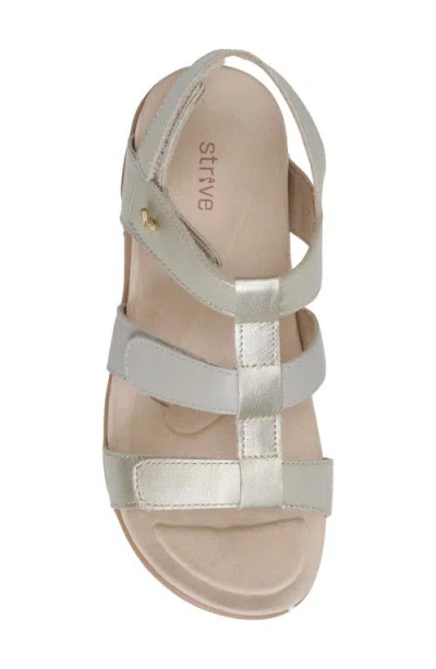 Strive Cassis Cage Sandal In Gold