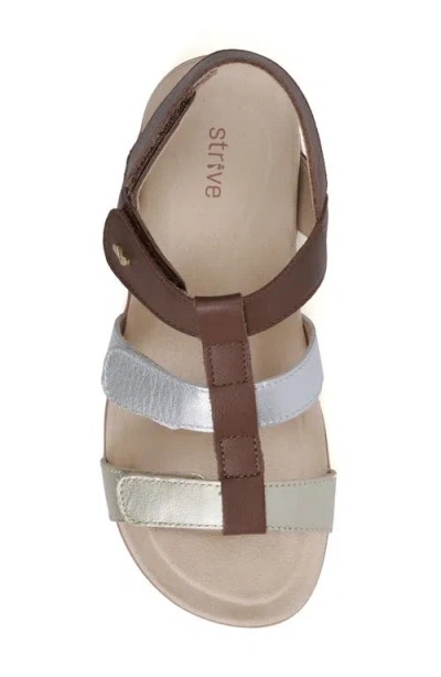 Strive Cassis Cage Sandal In Brown