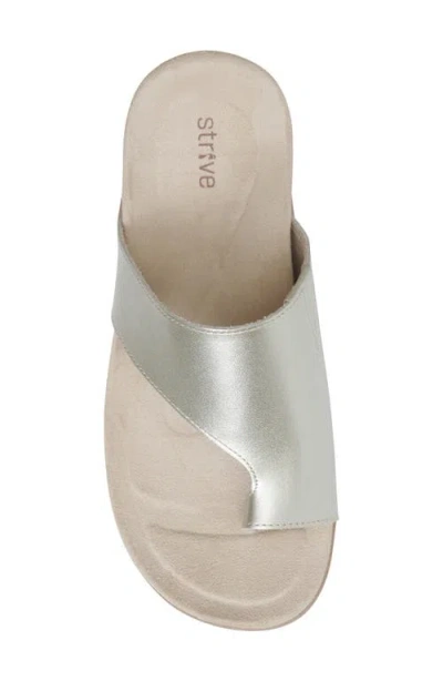 Strive Capri Iv Toe Loop Sandal In Gold
