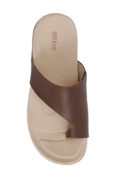 Strive Capri Iv Toe Loop Sandal In Brown