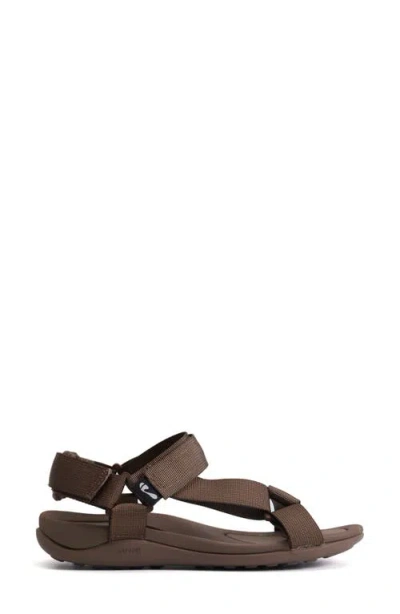 Strive Drift Waterproof Sandal In Brown
