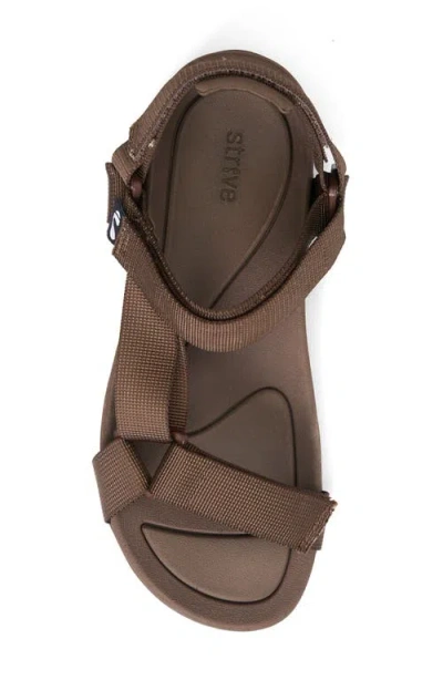 Strive Drift Waterproof Sandal In Brown