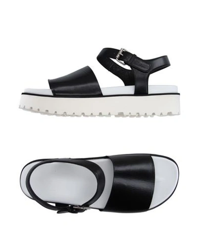 Shop I'm Isola Marras Sandals In Black