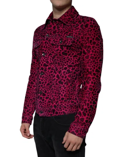 Dolce & Gabbana Fuchsia Leopard Button Down Collared Jacket In Pink