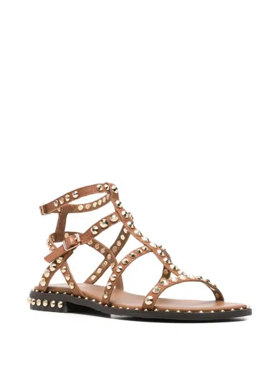 Ash Precious Stud-embellished Multi-strap Sandals In Brown