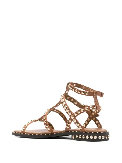 Ash Precious Stud-embellished Multi-strap Sandals In Brown