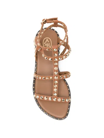 Ash Precious Stud-embellished Multi-strap Sandals In Brown