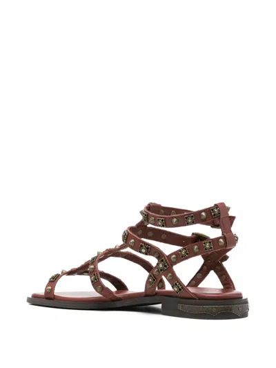Ash Pacha Stud-embellished Gladiator Sandals In Brown