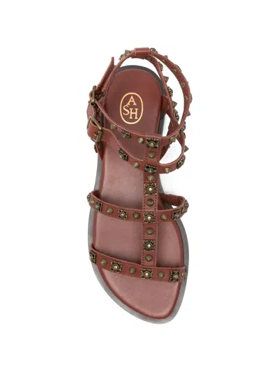Ash Pacha Stud-embellished Gladiator Sandals In Brown