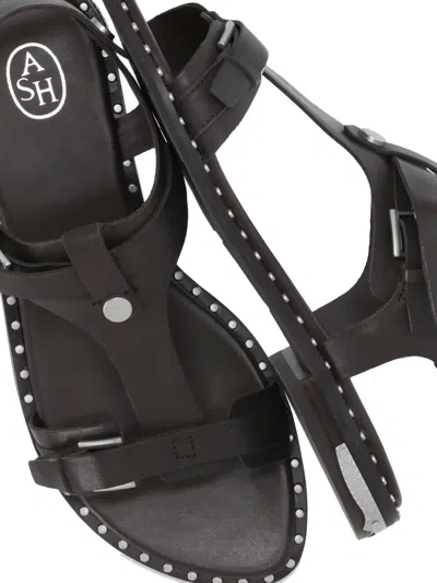 Ash Stud-embellished Flat Sandals In Brown