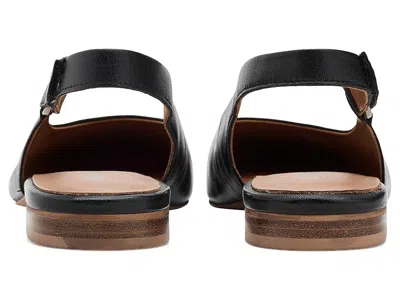 Softwalk Katy Flat In Black