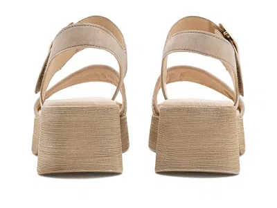 Gabor 84.526 In Multi