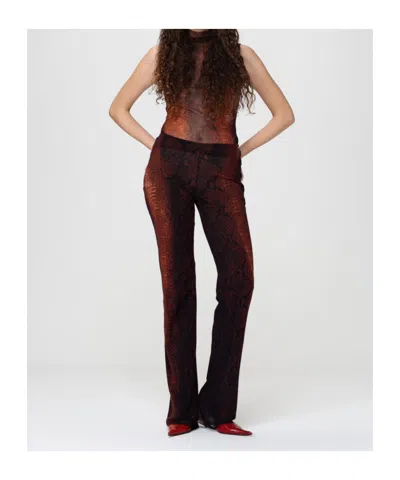 Jean Paul Gaultier Mesh Printed Python Trousers In Brown